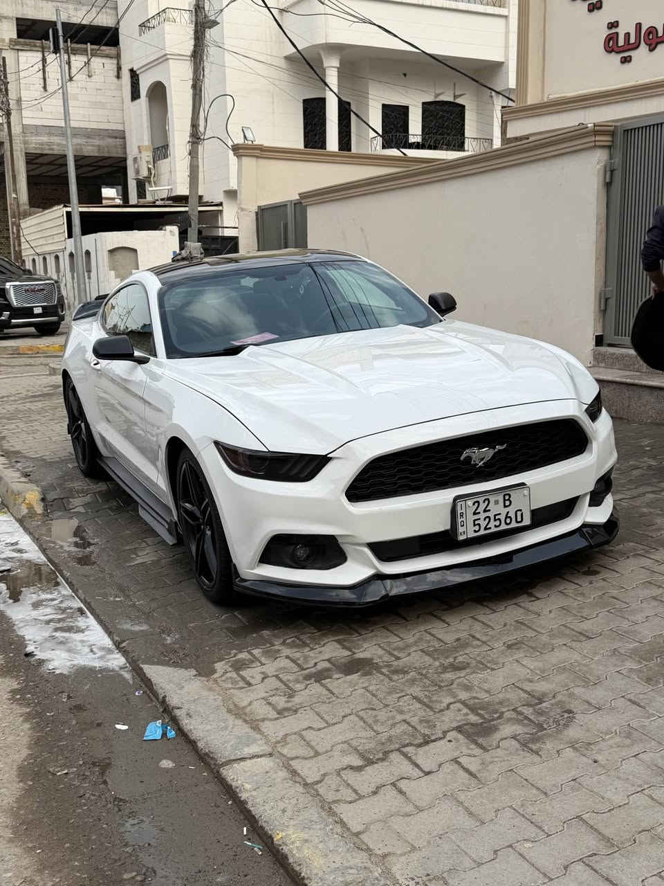 موستنگ ابيض ٦ سلندر ٢٠١٧ للبيع
ابيض مقدس
ماشية ٧٨ الف كيلو (بعدها بحيلها)
السيارة كلين ما شاء الله، و الي يريد رقم الشاصي يندزله خاص
شرط الفحص و السونار !!! 
كل الي بيها ضربة بالدعامية الورا و PDR مال حالوب

عليها بك لايتات سموك
دفيوزر
لحية
ستكر تنتة اسود جمالية
ليدات جانبية جديدة
اضوية امامي جديدة

السيارة سعرها ١٦٠$
بيها مجال للطيبين، و ما عندي مشكلة بالمراوس ويا الفرق

رقمي
*********** اتصال و واتساب، و دخيلكم لحد يخابر ورا ال١٢ بليل
