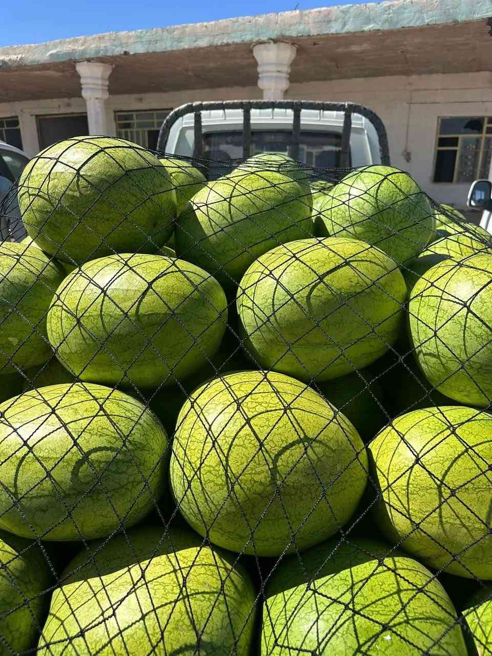 🌱🍉
صنف الرقي أمير F1
التابع لـ شركة أشجار البستان

من اشهر مناطق أنتاج الرقي في #العظيم
يبرز وبقوة أحد نجوم #شركة_اشجار_البستان

من الأصناف الهجينة المميزة التي أثبتت نجاحها وكفاءتها في مختلف الظروف الزراعية، لما يمتلكه من مواصفات مرغوبة وإنتاجية عالية نالت إعجاب المزارعين في عدة مناطق. 💪🌿

🔸 حجم ثمار ممتاز وشكل تسويقي جذاب
🔸 يتراوح وزن الركية الواحدة من 17 – 23 كيلو
🔸 تجانس عالي بالثمار وجودة مميزة
🔸 تحمّل ومقاومة ممتازة للظروف الجوية والإجهاد
🔸 صنف هجين F1 قوي بالإنتاج والثبات الحقلي

صنف الأمير ليس مجرد إنتاج وفير فقط، بل هو عنوان للجودة والثقة والنتائج المضمونة في الحقل والسوق. 🌟🍉

مستمرون بتقديم أفضل الأصناف الزراعية لخدمة مزارعينا الكرام وتحقيق أعلى مردود وإنتاجية بإذن الله. 🌱🤝

#صنف_الرقي_امير F1
#المهندس_محمد_آل_رشاد
#الزراعة_في_العراق
#مشاهدة_حقلية
#شركة_اشجار_البستان
#رقي_العظيم
@ابرز المعجبين


**إذا كنت صاحب هذا الإعلان وتريد حذفه لأي سبب، رجاءا أرسل رسالة إلى الدعم الفني**