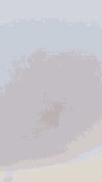 سلام عليكم  دراجه تايكر موديل 2024 كفاله عامه مامفتوح برغي تايرات جدد صالنصه رياضي محرك 125 دراجه كفله  سرقه كلك بس مكاتبه  سعر 550 وبيه مجال مكان بغداد الطارميه  *********** ❤
