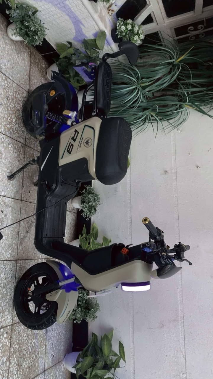 دراجه R9 من شركه WINLEE موديل. 2026 نضافه فول يجي وياها سله  سويجات ٢ بصمات ٢ كارتات و ٢ جامات  تحوي عله ٥ بطاريات تمشيك ٤٠ كيلو رحت لكاضم ورجعت ع نمره واحد شاحنه اصليه من GT يجي بيه ديجي عالي رايده ب ٤٣٠ وبيه مجال لتواصل +964 772 662 4278 عنوان بغداد رصالفه اولى الشعب مقابيل مطعم حجي عادل.
