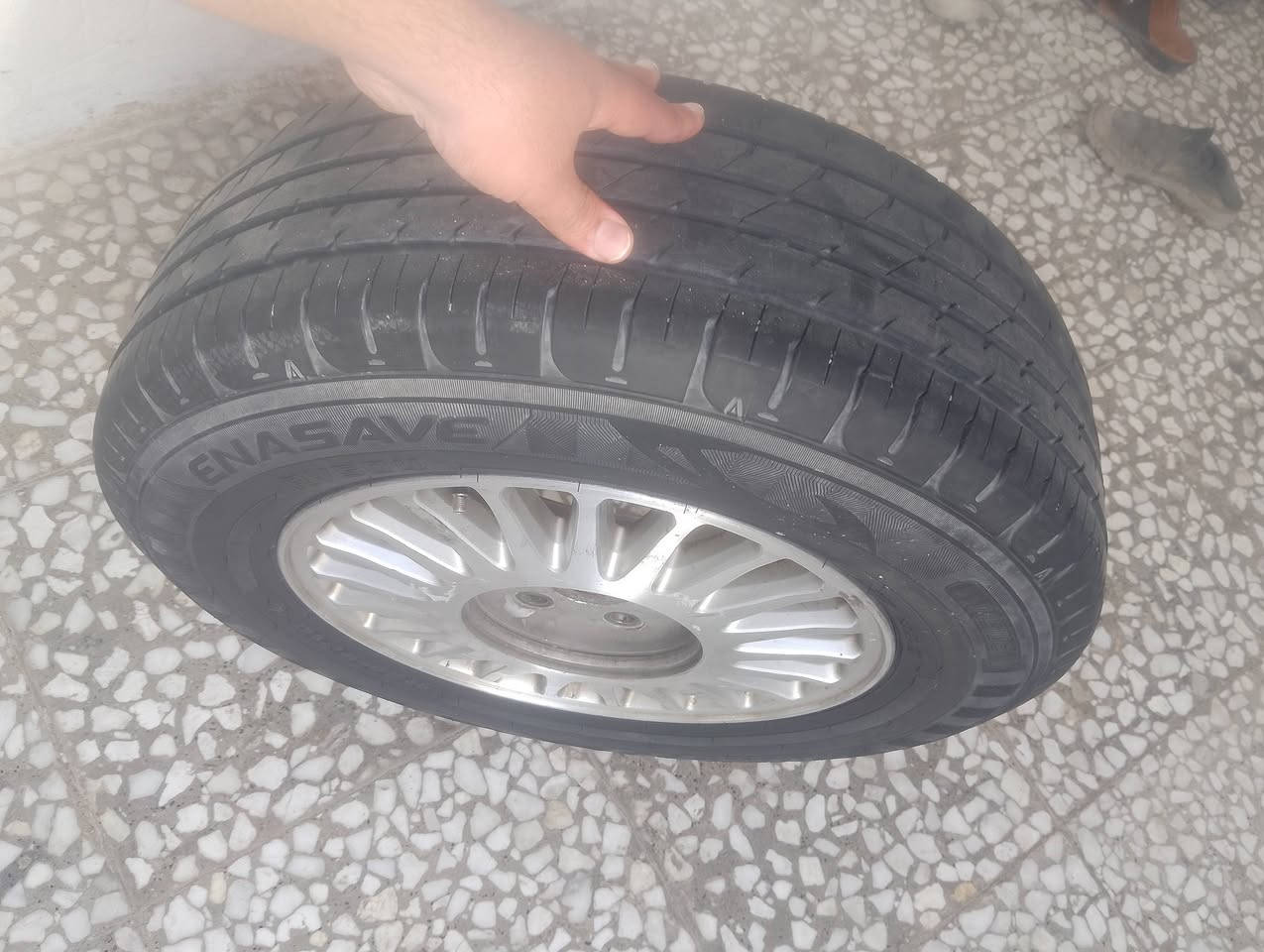 ويل ليزري مال راس ثور فلات فره عكس مال حاويه هوه وتايره جديد تك للبيع سعره 80 الف كامل هوه وتاير مكاني نجف ***********
