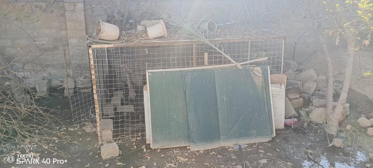 مكلف بلنشر
قفص دجاج للبيع الأبعاد ٣×٢ السعر ١٥٠  الف بيه مجال

مكانة ناحية الصقلاوية

لاستفسار ***********
