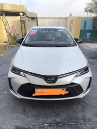 كورلا • ٢٠٢٢ • أربيل خليجي