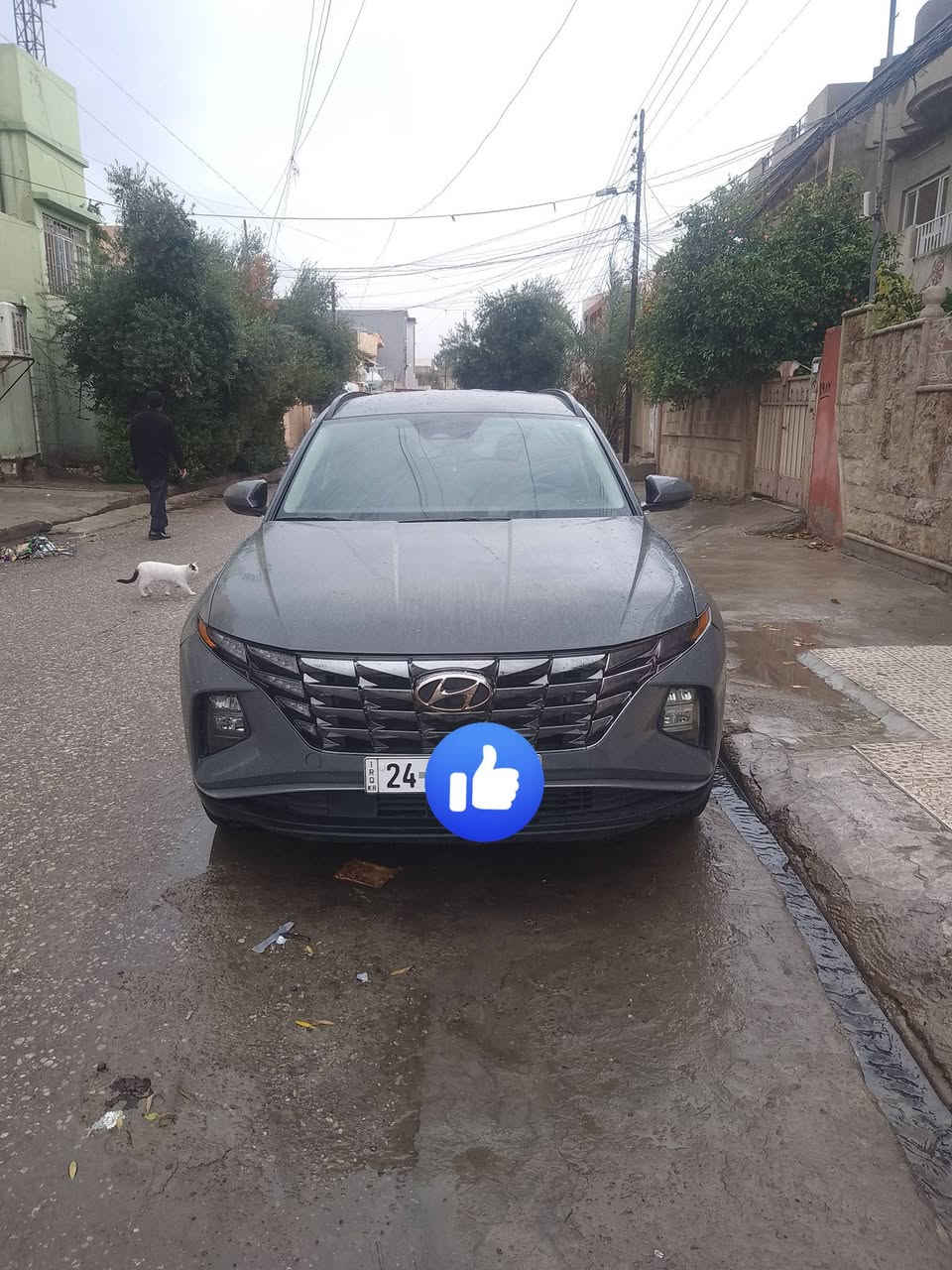 توكسن 2024 ماشيه 13 سياره فول مواصفات ضررها بوند وجملق. بدون داخل شرط  سياره بسمي رقم دهود سعره 190 

*********** 
***********
