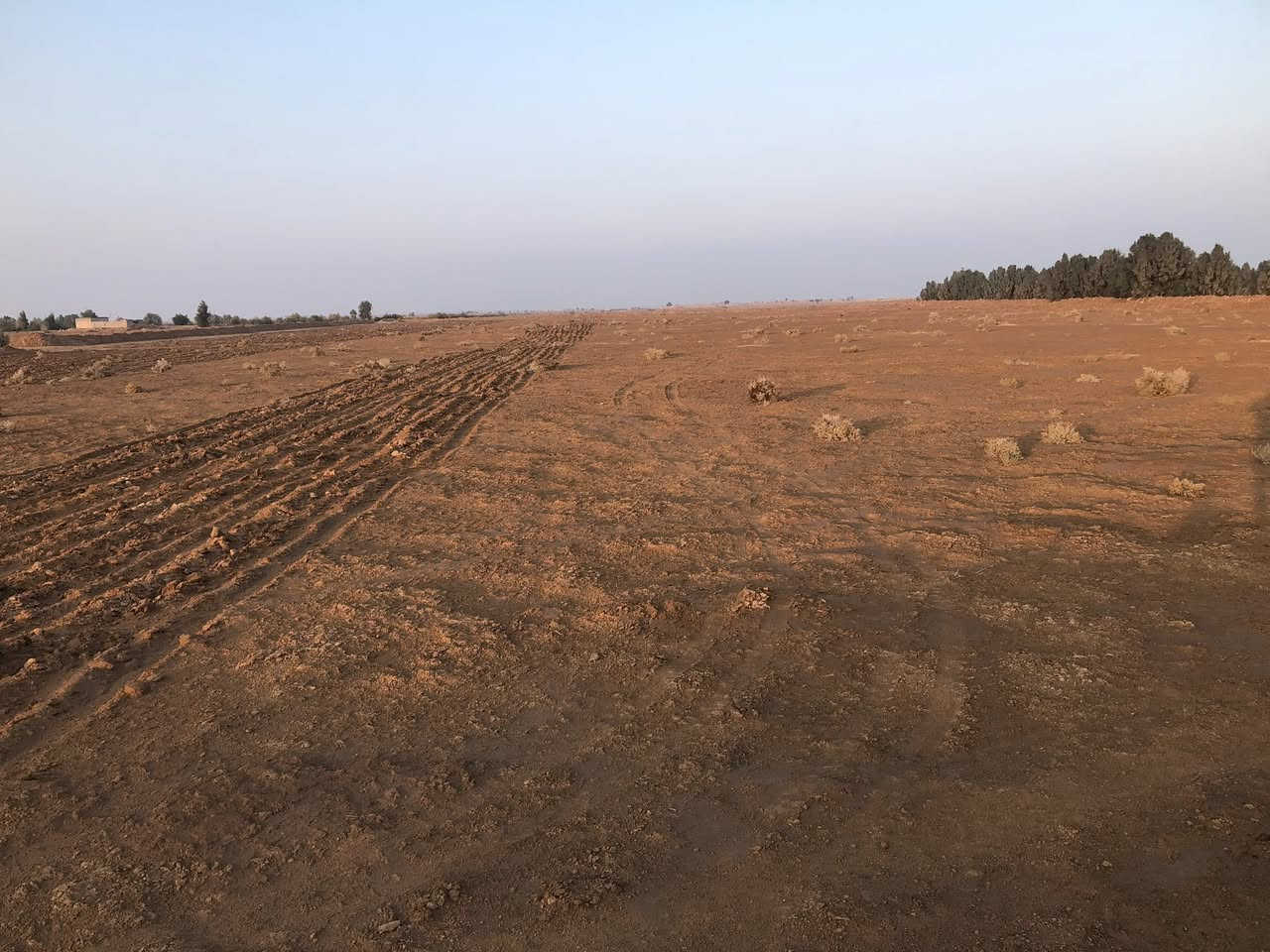 السلام عليكم 
ارض زراعية للبيع ١٥دونم فارغة ما بيه بير باسمي بداية طريق معمل كار جهةٍ اليسار تبعد عن الشارع ١كيلو السعر ١٥ مليون قفل للاستفسار الاتصال على الرقم 
***********
يتوفر واتساب
