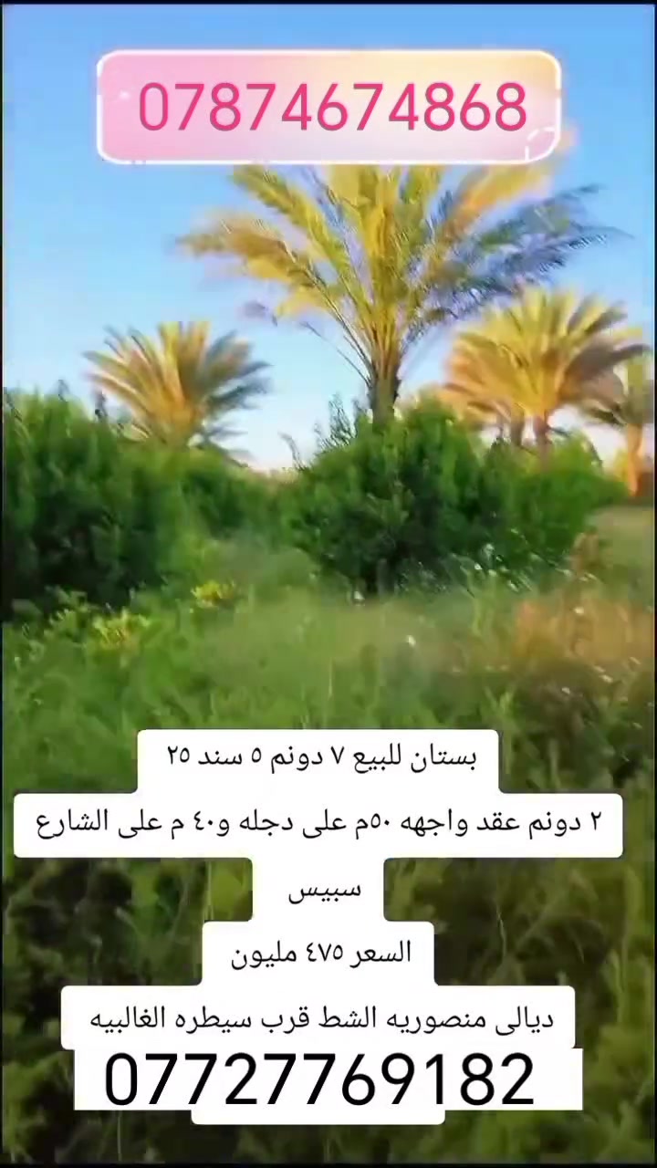 يا الله
بستان شاطيه ٧ دونم للبيع) *********** (***********)
