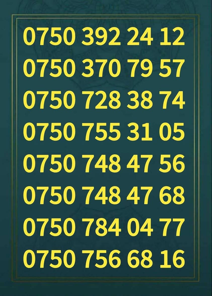 ئیشتراک عـــــام onlyforyu
داشکان بۆئەم ژمارە ئیشتراکانە

1000 خولەک و یەک گێگا بایت ئەنترنێت مانگانە 

بە 10 هەزار مانگانە ئیشتراک ئەبێ 

ژمارەکان کەپسن و فۆڕمیان لەگەڵەو بەناو دەکرێن

دانەی 35 هەزار 

بۆکڕین پەیوەندی بکەن بەوژمارەوە

***********
