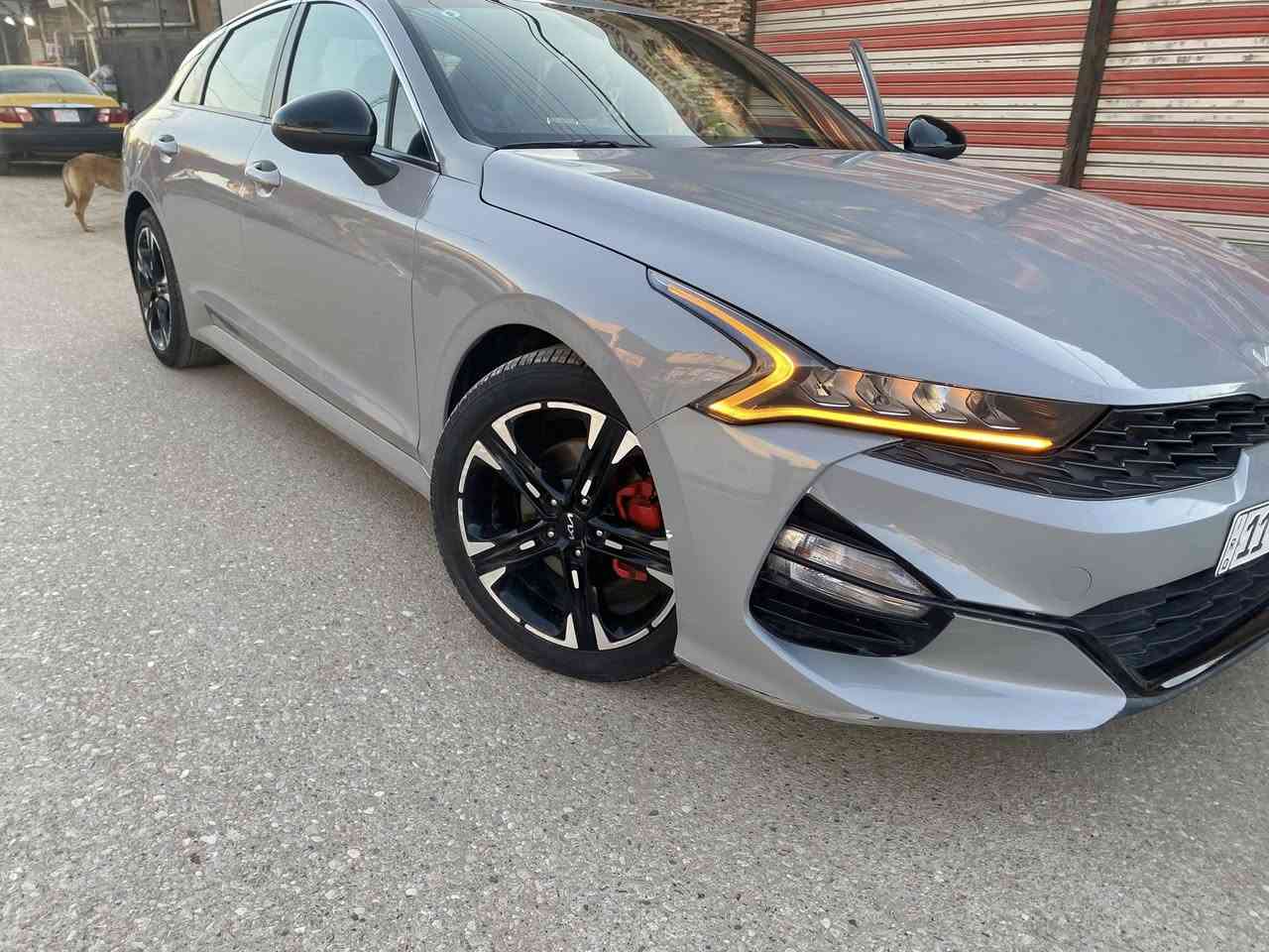 للبيع K5 موديل 2023 اللون اسمنتي وارد امريكي ظرر جاملغ وبنيد ومبدلات نفس اللون مال تفصيخ
جي تي لاين فول مواصفات عدا الفتحة
المواصفات //
-بصمة تشغيل +بصمة ابواب+تشغيل عن بعد+نظام ترحيب+ سايد بريك بصمة
-شاشة كبيرة كار بلي+كاميرا دوارة+رادارات امامي وخلفي وجانبي+اشاير مري+تحديد مسار
-كشنات جلد+كشن كهرباء+كشنات تدفئة+شحن واير ليس+ثلاث انظمة قيادة
-استيرن D +شفتات ستيرن+فول تحكمات
-لدات لايت وبك لايت
السعر/167 ورقة
للأتصال/***********
