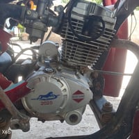 ستوته • ديوان فحل • ٢٠١٧