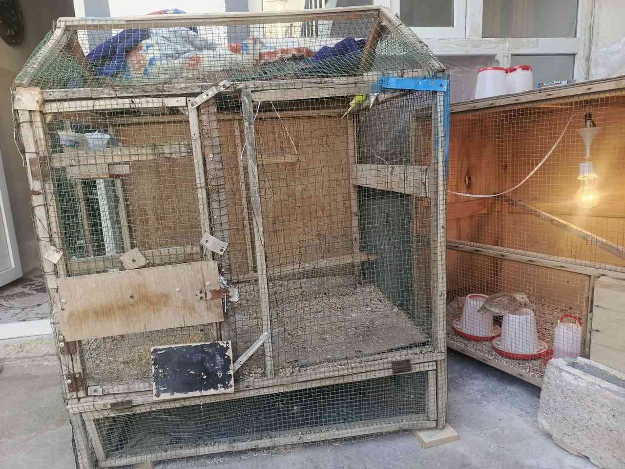 قفصين للبيع يرهمن لدجاج والطيور ثنينهن ب ٥٠


**إذا كنت صاحب هذا الإعلان وتريد حذفه لأي سبب، رجاءا أرسل رسالة إلى الدعم الفني**