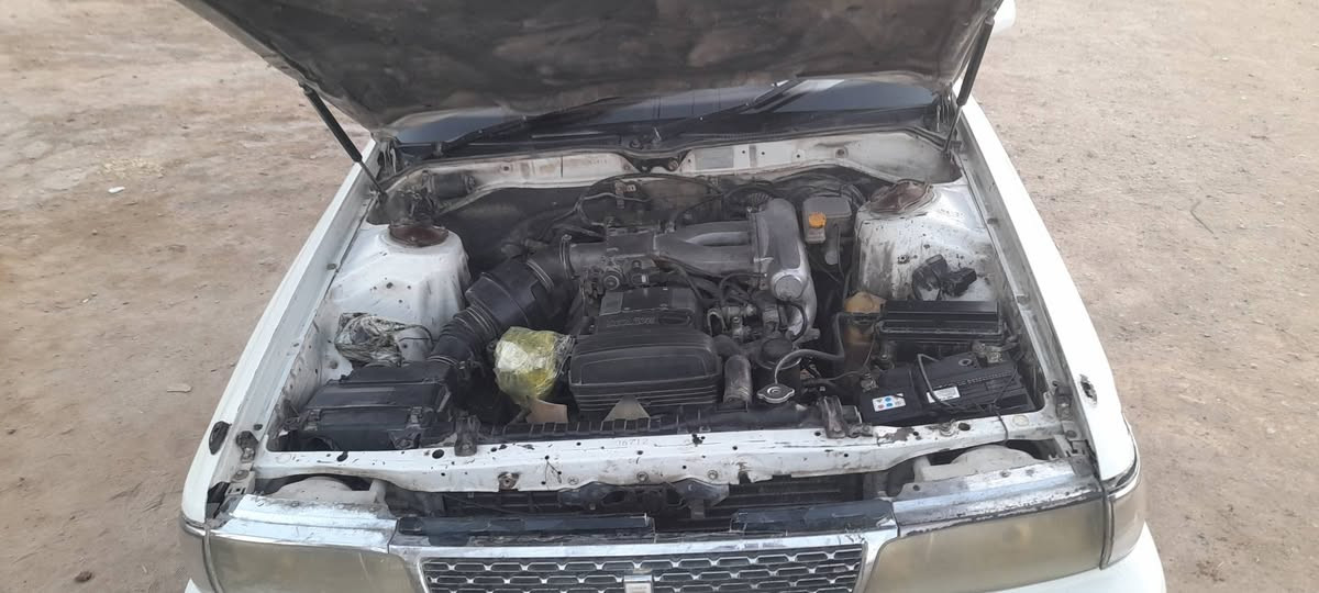 شيزر اصولي جاهزة مراوس ب أدوات 
***********
للاتصال 
او مراسله واتساب
