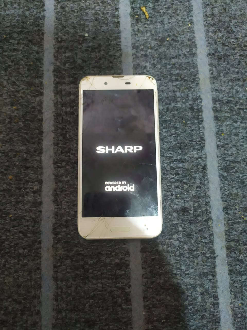 _يالله تلفونات بيع رخيص شرط الفحص بيع مستعجل تلفونات بيت..


**إذا كنت صاحب هذا الإعلان وتريد حذفه لأي سبب، رجاءا أرسل رسالة إلى الدعم الفني**