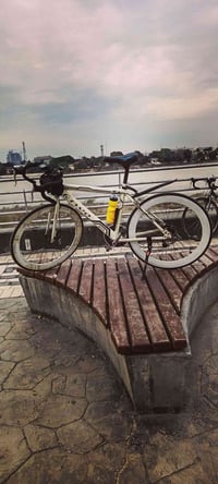 رود للبيع. المكان بغداد العامريه الرقم 07869913199