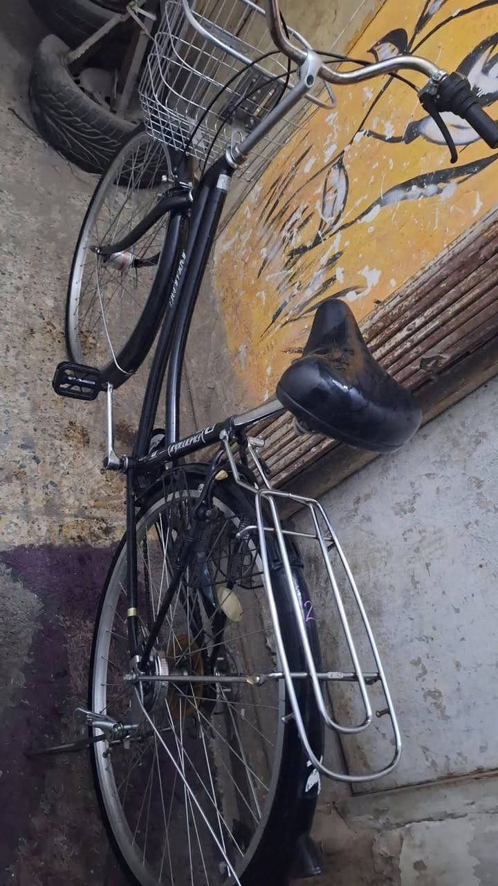 السلام عليكم بسكل لبيع حجم ٢٧كير وحساس كامل مكمل غير مستعمل بل عراق جديد جدن زلق واحد مابي لون سود فحم  سله ستيل بعده عله وضع حاويه جديد حله من صوره عنوان بغداد صدريه متواجد وتساب سعر ١٣٠ قفل 🔐 هاذه رقمي ***********
