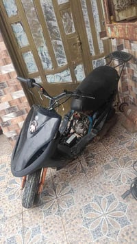 ماكس • شغالة • ديوانية فرات