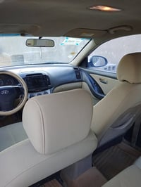 النترا • ٢٠١٠ • كربلاء طوريج