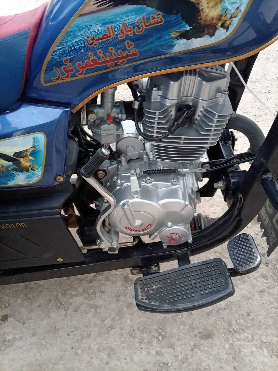 السلام عليكم جمره للبيع صار له شهرين طالعه  اصولي شرط ترقيم
مكاني شطره شراي يشلع عيوني رقمي ***********
