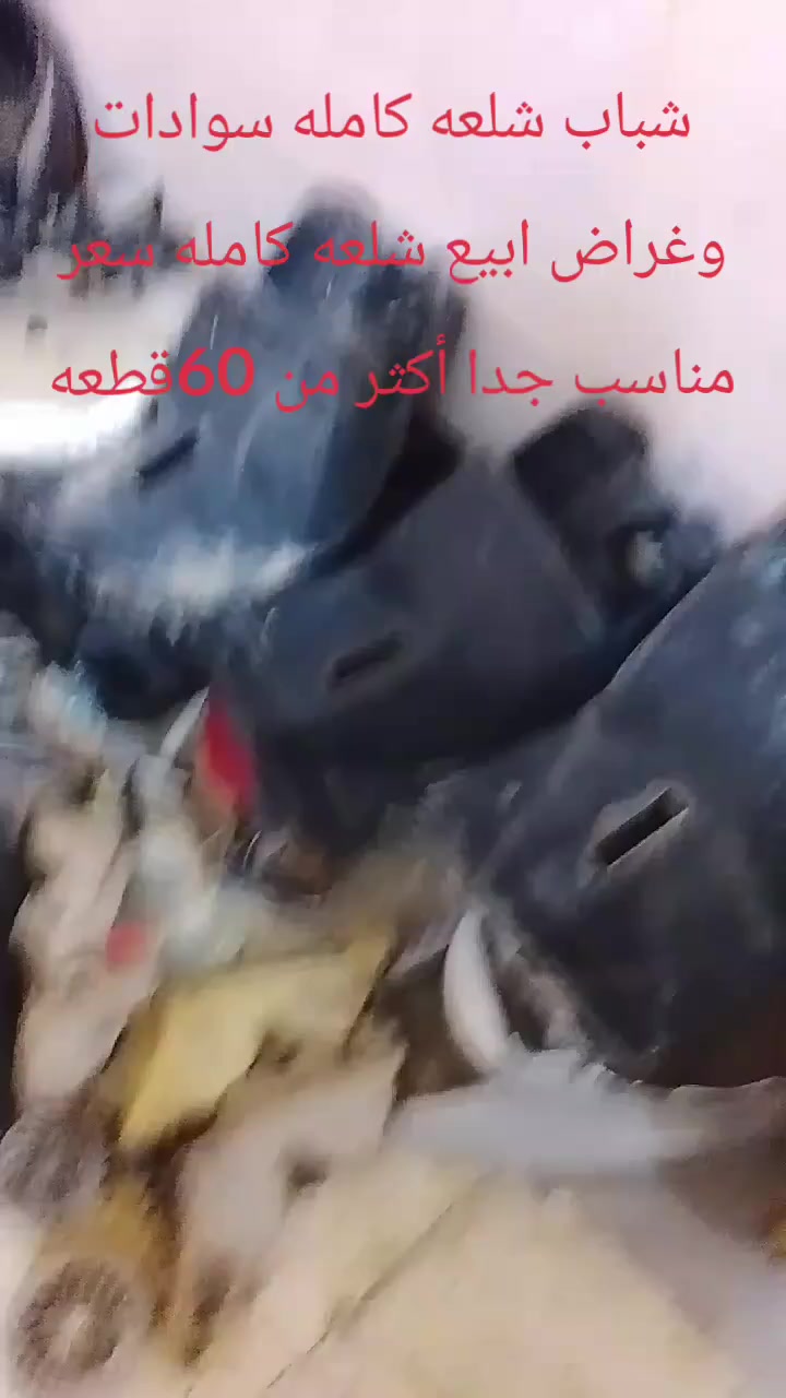 شلعه غراض دراجات بطه ومنغولي عددهن 75الى 90قطعه سعرهن 60بيهن مجال شلعه أبيع واكو هواي غراض مامصورهن


**إذا كنت صاحب هذا الإعلان وتريد حذفه لأي سبب، رجاءا أرسل رسالة إلى الدعم الفني**