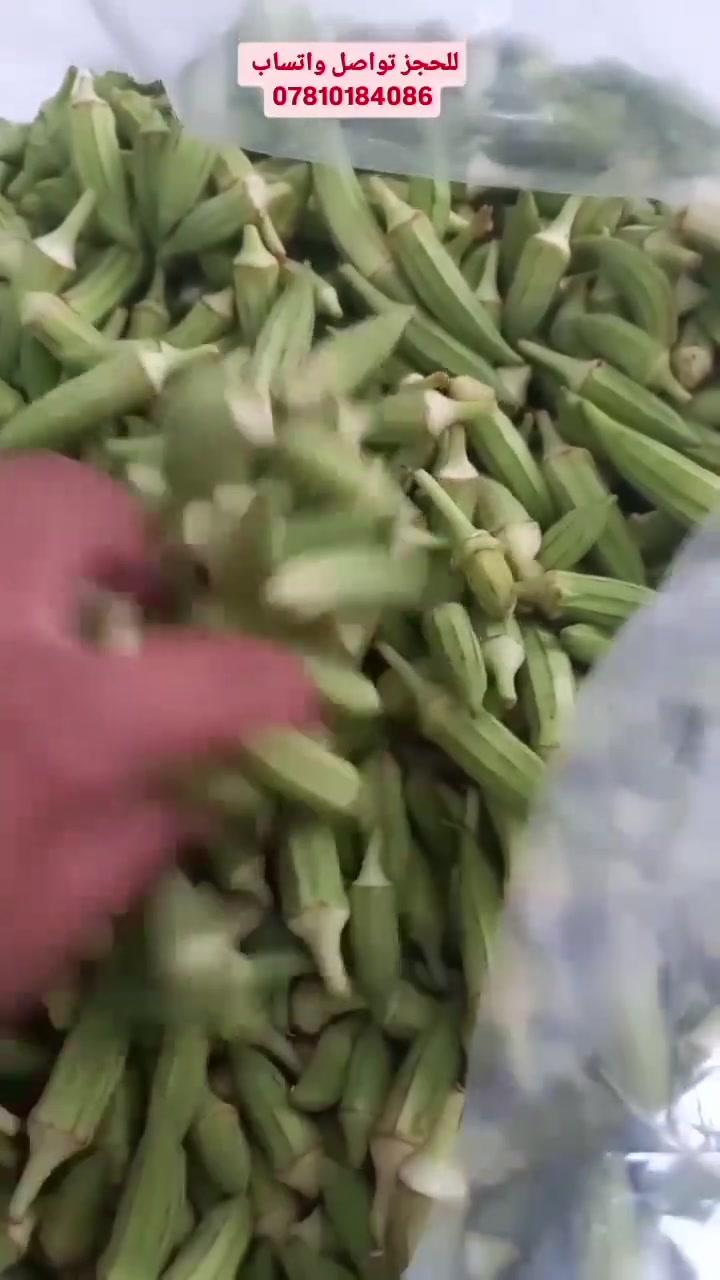 بانيا جديدة وحياشة اليوم بتاريخ 6/28
للحجز تواصل واتساب  ***********
