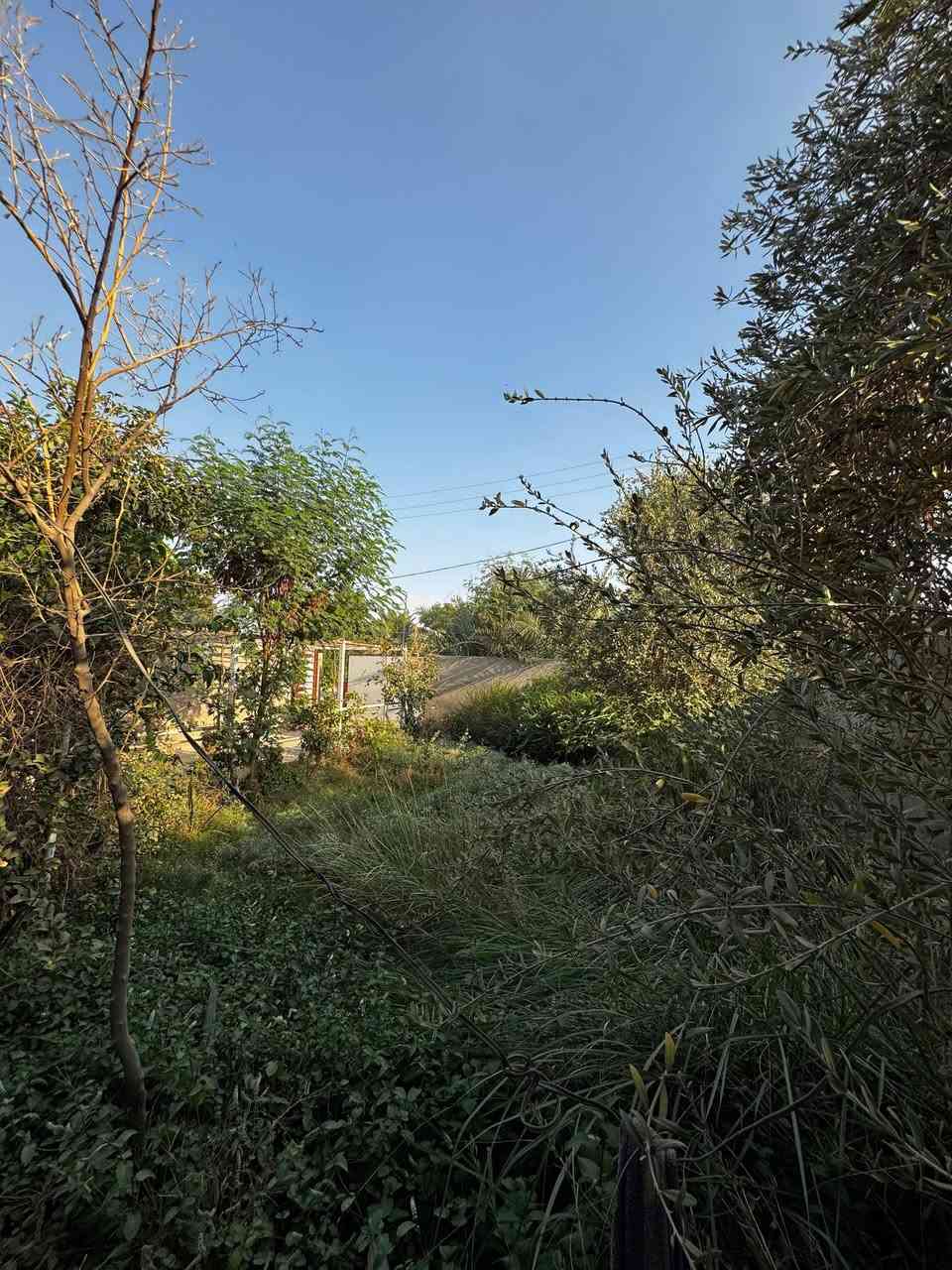 السلام عليكم للبيع بيت 650متر بناء جديد  على الشارع العام حديقه 250متر يتكون من  حمامات خارجية وداخلية مضيف غرفتين صاله مطبخ بناء درجة أولى طابوك 
العنوان طريق جسر ال عيسى الي يربط ب شارع المعمل قريب الجسر على الشارع العام مباشر السعر 150مليون قابل للتفاوض للاستفسار ***********
