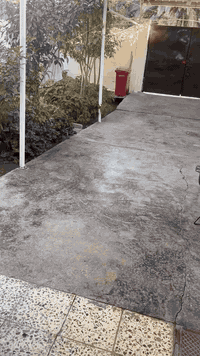 دار للبيع حي العامل المنطقه الاولى مقابيل مستشفى ومقابيل حي المعلمين طابو صرف باسم شخص واحد بيت قديم بس نظيف وينسكن بي واجهه 10 نزال 25 طابقين ثاني بيت عن الركن للاستفسار مراسله الصفحه او الاتصال***********
