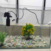 حوض سمك • ملحقات