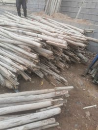 دراسك • جوز • كل القياسات