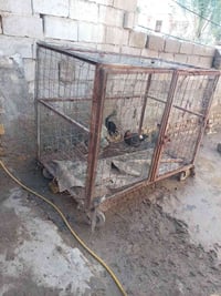 قفص حديد • للبيع • قابل للتفاوض