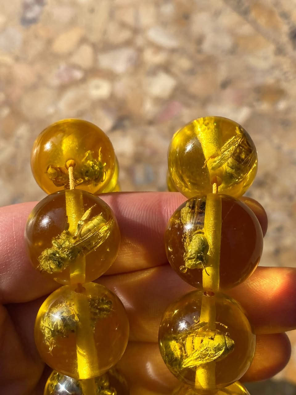 سلام عليكم سبحه حشريه (نحل) سبحه ضخمه السعر مع توصيل 50 الف


**إذا كنت صاحب هذا الإعلان وتريد حذفه لأي سبب، رجاءا أرسل رسالة إلى الدعم الفني**