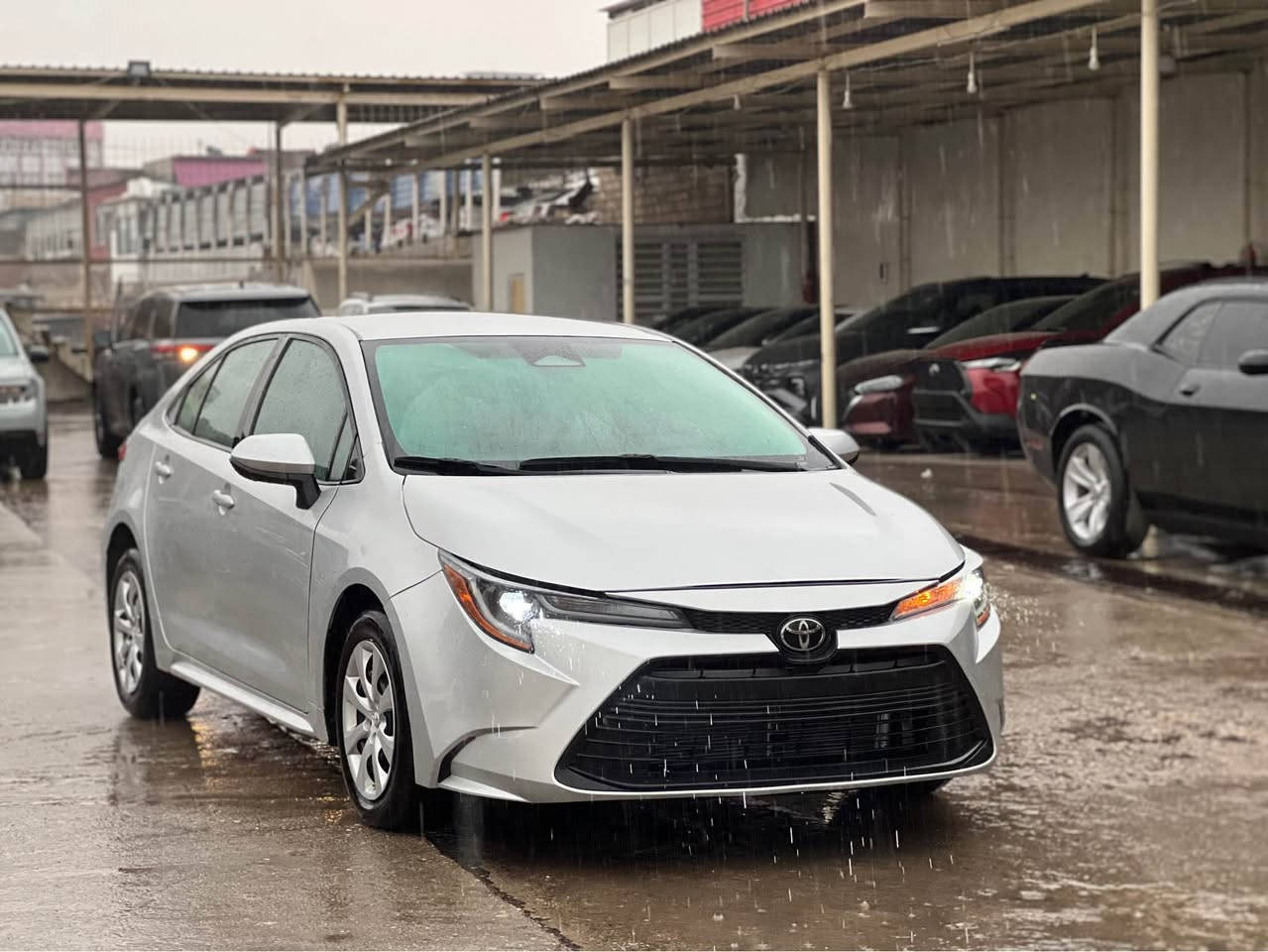 كرولا 2024
سعر 125مجال 
سبوخ 4بارجه بي داخلي 
ايرباك سوكان سيستم 
به رد رادار شريكه 
شوين ئاكري 
*********** أربيل, العراق
