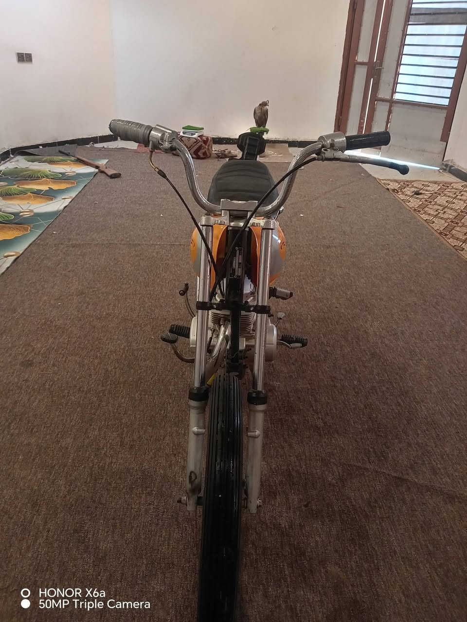 سلام عليكم دراجه ربعه كير مكينه صلي شلامجه ٢٣ شاصي 18 وراق صولي لا تبخير ولا تنقيص دراجه كلش نضيفه مكان كوت حي الحكيم رقمي *********** سعر 550 بيه مجال قليل
