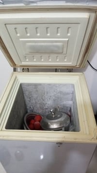 مجمدة • صغيرة • اليده مشلوعه