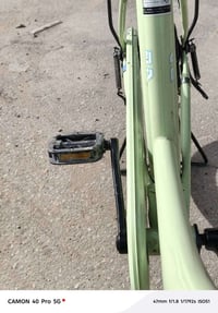 باسكل • لون بطيخي • نجف حي ميسان