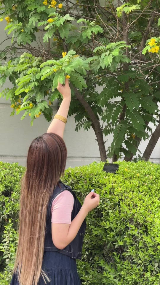 ⁨	⁨	شلون يطلع وياج الميك اب وانت تسمعين حسين الغزال 😎⁩ استخدمت تحديد شفاه من هُدى يوسف درجة 01  حمرا من انستازيا درجة parchment هايلايت من انستازيا باللون الذهبي  بلشرر  برونزر nyx06⁩


**إذا كنت صاحب هذا الإعلان وتريد حذفه لأي سبب، رجاءا أرسل رسالة إلى الدعم الفني**