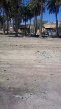 قطعه حي الجامعه طابو صرف 320 متر مع فضله 60 متر الك صايره على شارعين و...