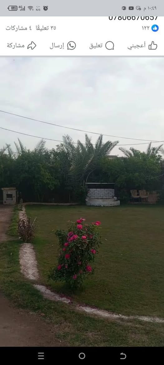 السلام عليكم ارض زراعيه للبيع سنه 25 طابو زراعي مساحه دونم تحتوي على ثلاث بيوت جاهزاته مكان بابل قضاء القاسم طريق الكفل الاستفسار على الرقم ***********
