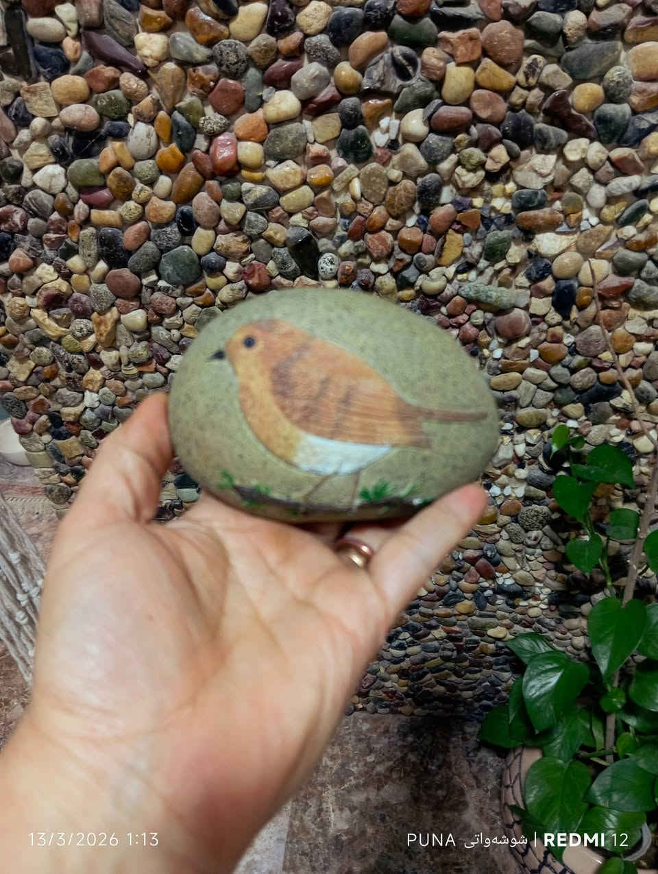 بالەی جوان و ناوازە لای ئێمەیە گەیاندن بۆ ناو شاری کەلار دووهەزار
🙋 خەڵات مان هەیە بە تەنها بە کڕینی یەک عەشیا تاوەکو جەژن ناوت ئەڕواتە تیرو پشک وە🌻🌻


**إذا كنت صاحب هذا الإعلان وتريد حذفه لأي سبب، رجاءا أرسل رسالة إلى الدعم الفني**