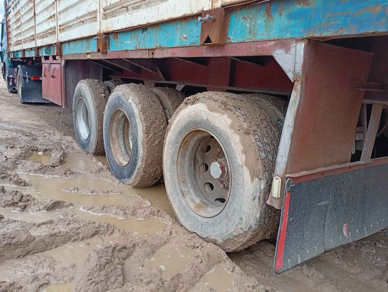 بلوم البيع السعر 85وبيه مجال الاستفسار ***********
