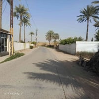 المدائن سلمان باك • ٢٥ دونم • طابو سند