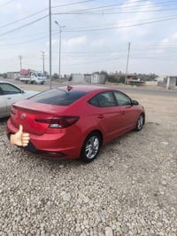 النترا ٢٠٢٠ • ٥ قطع صبغ • بدون دواخل