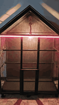 قفص كلش حلو مدخال  بيت باب محال يرهم كلشي قياسه حلو  مكاني نجف توصيل اكو ***********  بس نجف سعره  عل خاص مناسب  اي فصال نشتغل الكم
