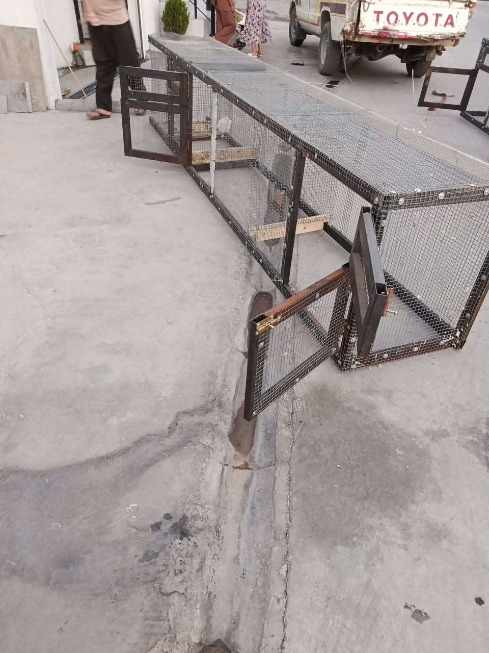 2 قەفەزی ئاسن یەک مانگە بەکارهاتووە 
درێژی :  350   "  بەرزی :  60    "  پانی :  55
هەریەکیان :  3  بەشە و دەرگای خۆی هەیە
پلێتی ئاسن بۆ ژێرەکەیەتی لەگەڵدایە
 ***********    کەلار

