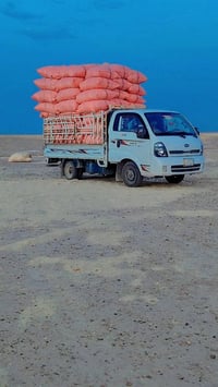 تبن • توصيل للبيت • جميع النواحي