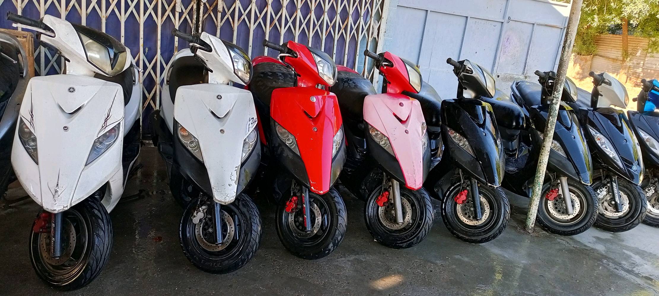 اسلام عليكم وجبة دراجات رمبة كفالة عامه فول نضافة مكاني بغداد شعلة الشراي يتصل 