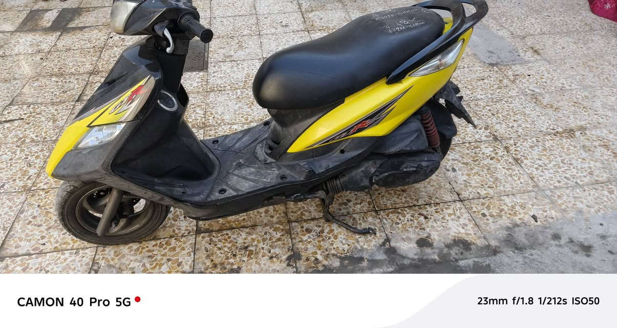 ماكس ثعلب مكاني شعب سعر ٧٥٠مكفولة***********
