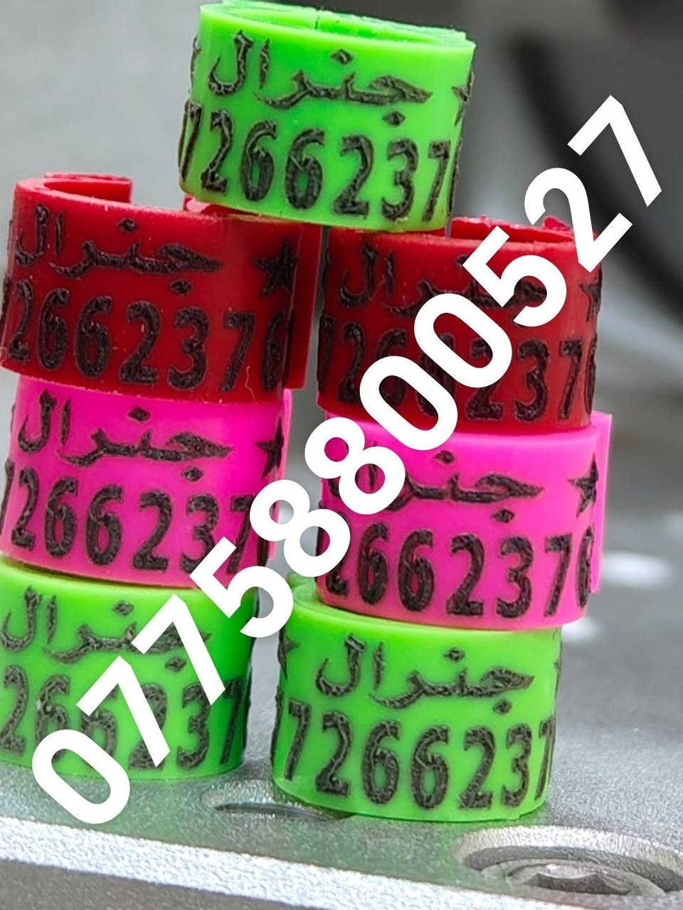 حجل طيرك وبسعار تنافسيه وشغل مضمون 👇❤️ حجول  وتوصيل لكل العراق والخبره بلعمل
من رخصت لمشرفين تريد حجل اصلي  ❤️ يوجد لدينا كل ماهو جديد عمل جميع  انواع حجول رابطه ستندر بنواعها حمام اللوت والزاجل والرافل والحمر وتور تيدي وطيور الزينه وباقي الطيور  بكافة انواعها  المغرد جاوه وبلابل  وفجانس وكناري وبادجي هاجرمو  وكوكتيل والدره وغندور وروز والحمام الملكي  ودجاج ومختلف النوعيات الالوان والموديلات حسب طلب الزبون الحجول والقياسيات موجوده بنواعها وتلبيس لطيور الكبار موجود حسب الطلب
الموثق والمفتوح وقراصات و المنيوم مفتوح الشغل درجة أولى حفر ليزر وحجول  والطيور بانواعها ملاحظه يوجد لدينا حجول زينه تراجي وحجل جرس خرخاشه واشرات وباقي الحجول بنواعها لكافه لطيور توجد خدمه توصيل لباب لبيت لجميع المحافظات العراق 🚕🚕 بسعر مناسب جدا للحجز مراسلة الصفحه او واتساب📱📞او الاتصال علئ الرقم او وتساب ملاحظه خبره بلعمل أكثر من 10 سنوات احذر التقليد 😍 لاتنسه لايك ومتابعه للحساب هدفنا تطوير الهوايه ولطيور لتعارف 😘 

***********
***********
