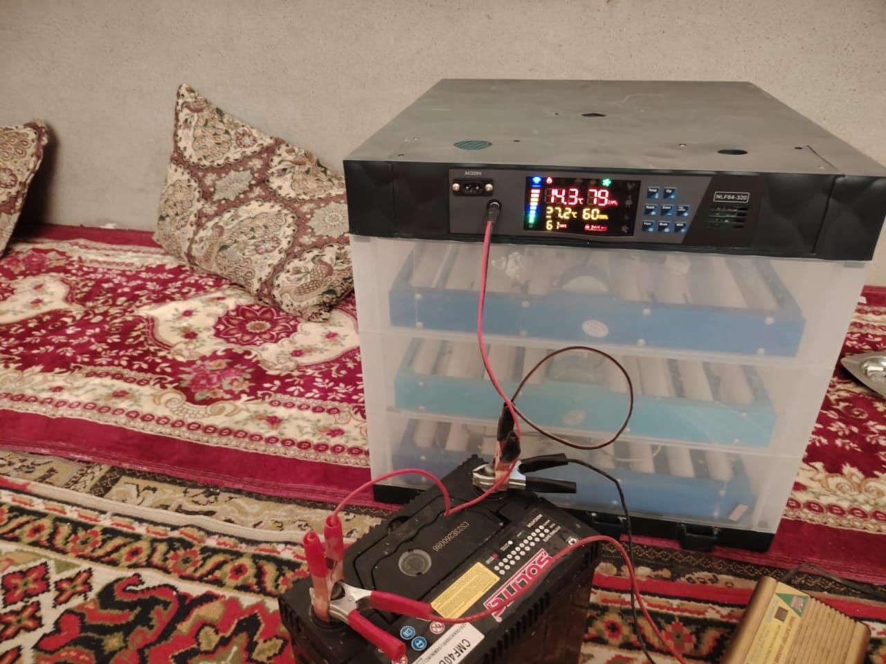 مفقسة للبيع نضام إلكتروني وتماتيك شرط التفقيس 
تحتوي على 200 بيضا مكاني العباس، السعر 200 بي مجال شي قليل
ملاحضة تقليب إلكتروني ***********
