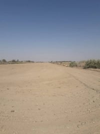 فرع الامام شاخه٤ • ١٠ دونم • طابو زراعي سند ٢٥