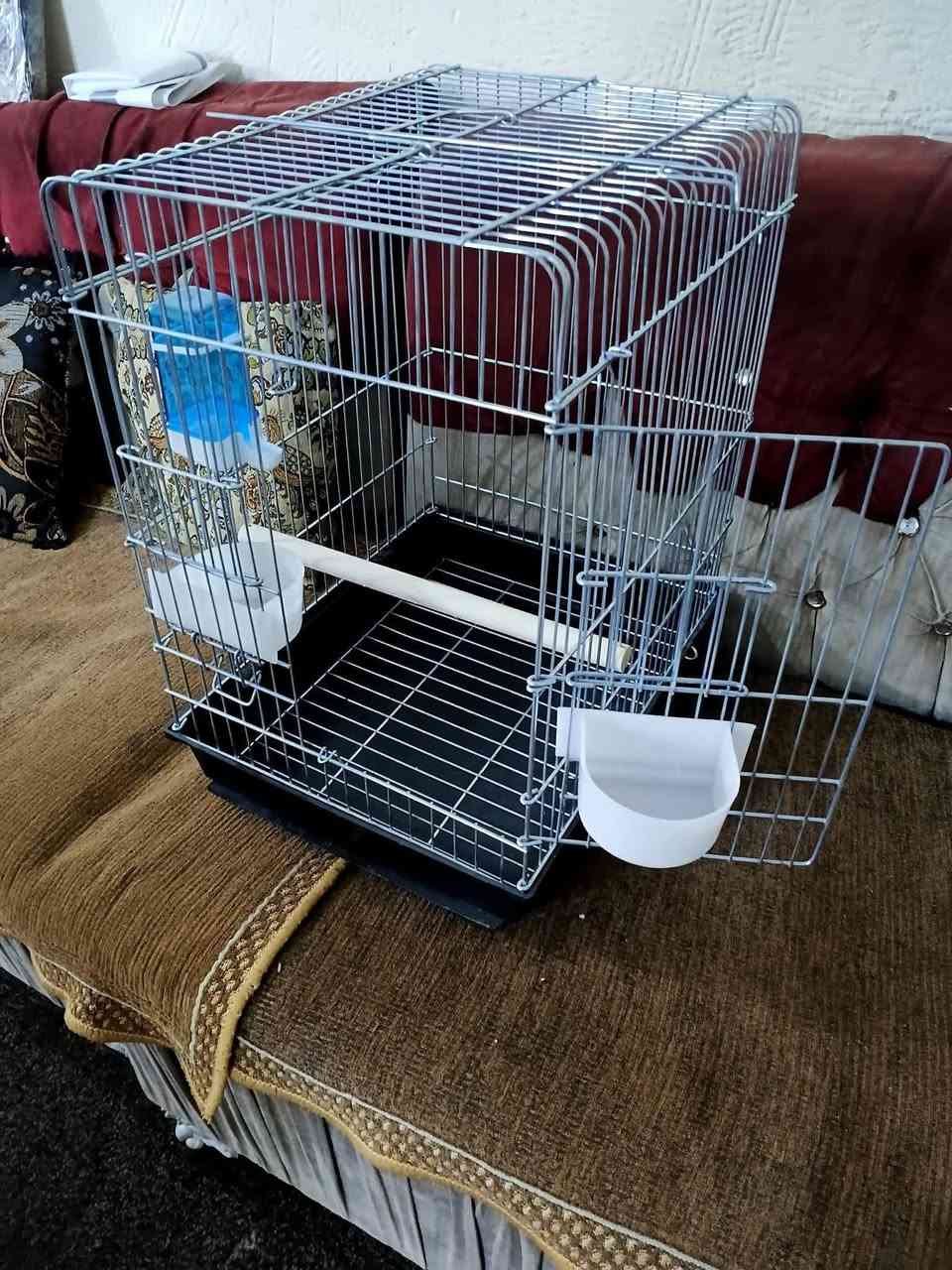 قفص جديد كامل ملحقاته مال ببغاء


**إذا كنت صاحب هذا الإعلان وتريد حذفه لأي سبب، رجاءا أرسل رسالة إلى الدعم الفني**