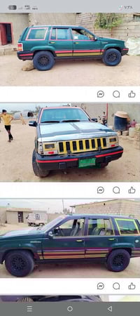 شيروكي • نينوى • فحص شرعي